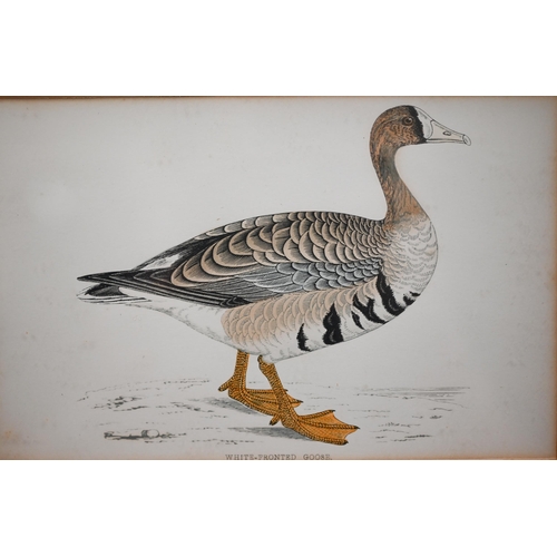 319 - Two sets of 'goose' engravings (5 and 3), 11.5 x 17 cm the smallest (8)