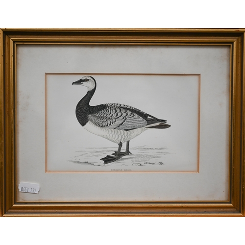 319 - Two sets of 'goose' engravings (5 and 3), 11.5 x 17 cm the smallest (8)