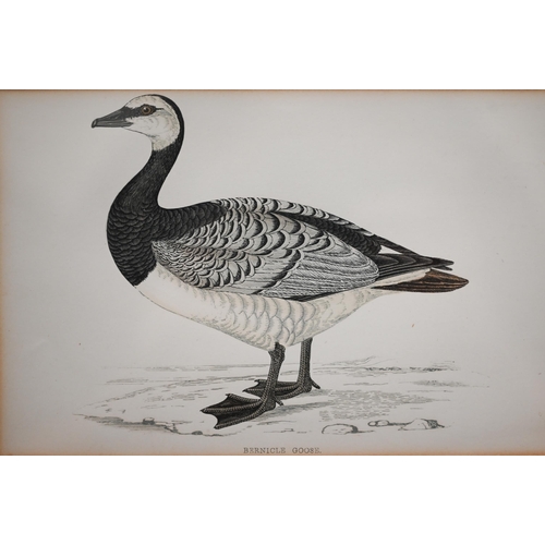 319 - Two sets of 'goose' engravings (5 and 3), 11.5 x 17 cm the smallest (8)