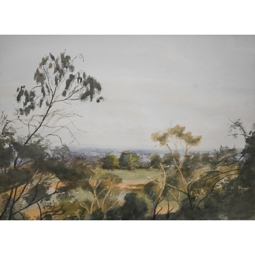 349 - Australian school - 'Evening sun on Anzac Hill, Maldon', indistinctively signed, watercolour, 27 x 3... 