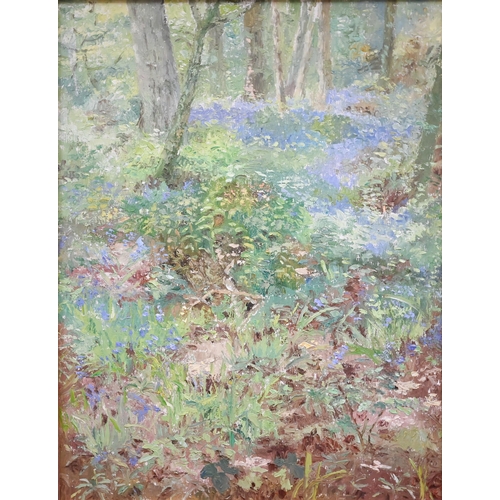 350 - Leila Howarth - 'Bluebell Wood', oil on board, 45 x 34 cm 