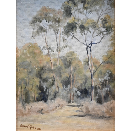 351 - Mixed oils - Joan Ross - 'Bush Scene', oil on board, signed and dated '89, 19.5 x 14 cm; Phyllis Aco... 