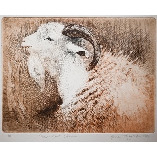 352 - Mixed pictures including Anne Shingleton 'Sheep-Goat chimaera', etching; Shelagh Popham etching of a... 