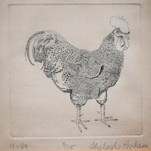 352 - Mixed pictures including Anne Shingleton 'Sheep-Goat chimaera', etching; Shelagh Popham etching of a... 