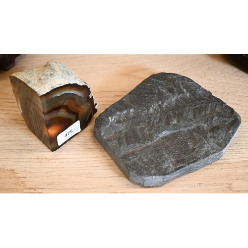 475 - A fossil fern slab 18 x 16 cm overall, to/w a segment of agate with polished inner surfaces (2)