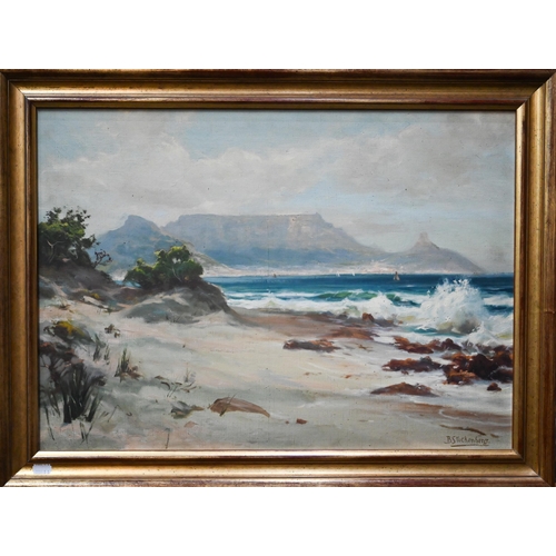 741 - Borge Fog Stuckenberg (1867-1942) - View of Cape Town, oil on canvas, signed, 44 x 62 cm