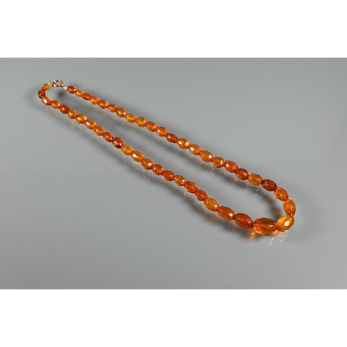 263 - Three rows of amber - one of oval graduated 'butterscotch' beads, 27.5g, one oval faceted graduated ... 