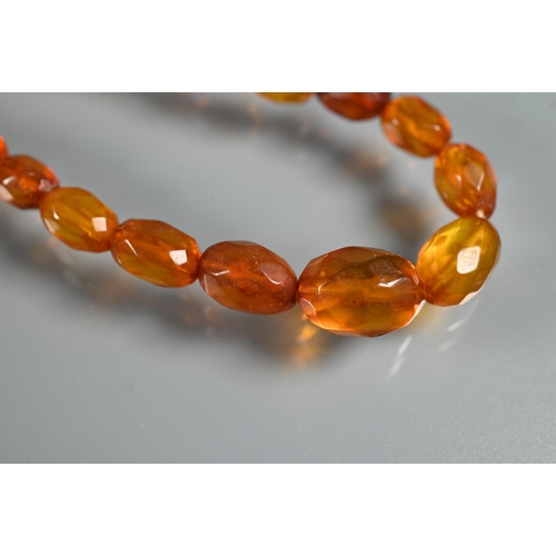 263 - Three rows of amber - one of oval graduated 'butterscotch' beads, 27.5g, one oval faceted graduated ... 