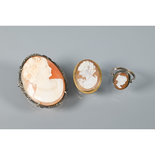 289 - A modern oval shell cameo brooch featuring female head, with 9ct yellow gold rope mount, 3 x 2.2 cm;... 