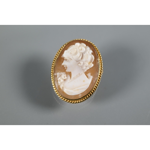 289 - A modern oval shell cameo brooch featuring female head, with 9ct yellow gold rope mount, 3 x 2.2 cm;... 