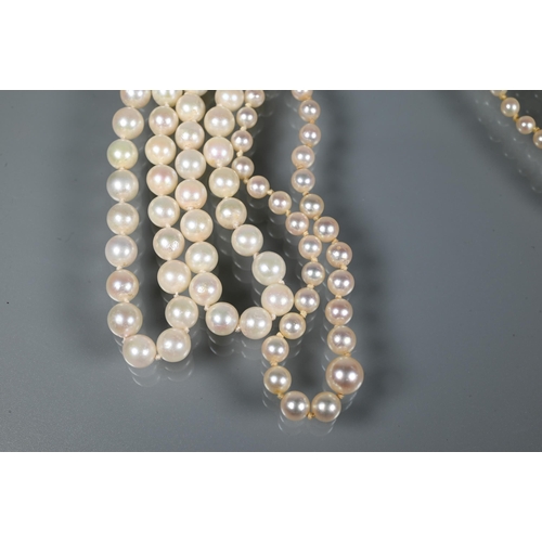 311 - Two uniform cultured pearl necklaces knotted throughout onto 9ct yellow gold clasps, one as found, t... 