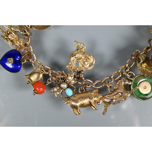 313 - A 9ct yellow gold curb bracelet with twenty various charms attached including kangaroo, pig, cat, en... 