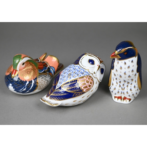 594 - A Royal Crown Derby Owl, 12.5 cm long to/w a Mandarin Duck and a Rockhopper Penguin (3)