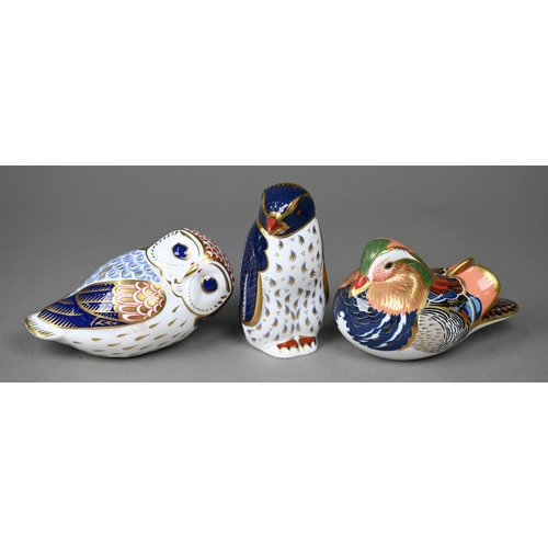 594 - A Royal Crown Derby Owl, 12.5 cm long to/w a Mandarin Duck and a Rockhopper Penguin (3)