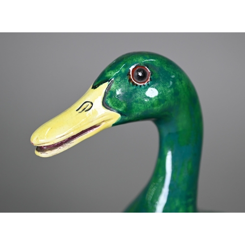 597 - An Edwardian Crown Staffordshire porcelain green-glazed duck, in the Chinese manner, 24 cm high