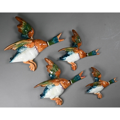 602 - A graduated set of four Beswick flying duck wall ornaments, 26-14 cm