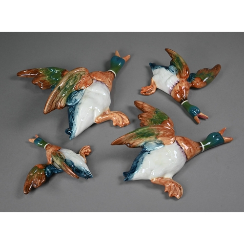 602 - A graduated set of four Beswick flying duck wall ornaments, 26-14 cm