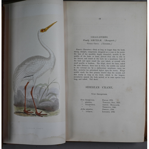 1004 - Bree, Charles R., A History of the Birds of Europe, not observed in the British Isles, 4 vol., 238 h... 