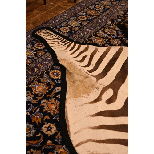 1232 - A vintage zebra skin rug with black felt backing a/f