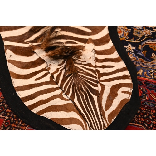 1233 - A vintage zebra skin rug with black felt backing a/f