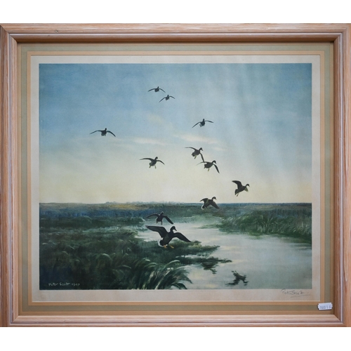 775 - After Peter Scott (1809-1989) - Ducks landing over wetlands, print, pencil signed to lower right mar... 