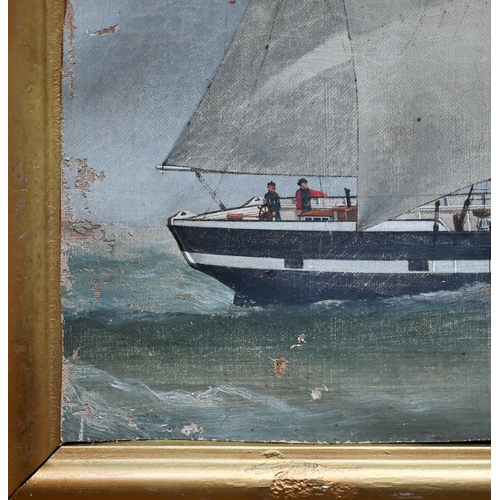 806 - English school - Study of the two masted brig 'Vixen', oil on canvas, 39 x 55 cm, for restoration