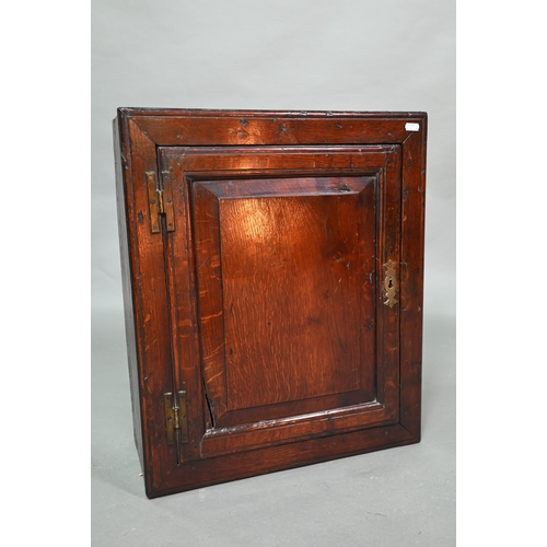 843 - A small 18th century oak wall cabinet, 47 cm x 19 cm x 55 cm h