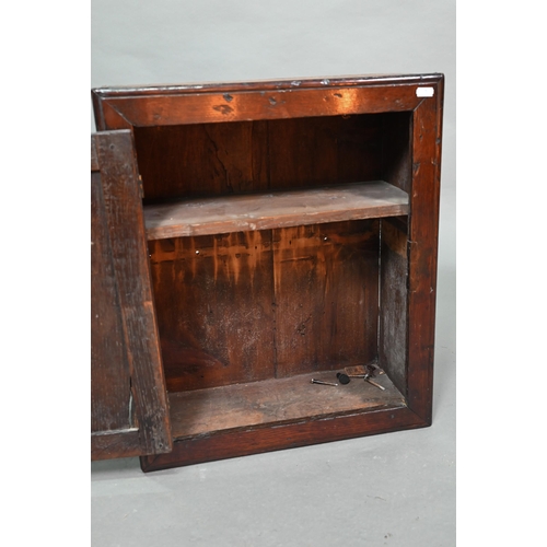 843 - A small 18th century oak wall cabinet, 47 cm x 19 cm x 55 cm h