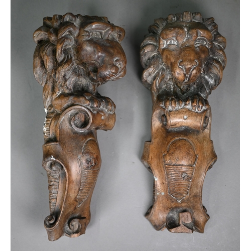 977 - A pair of 19th century Continental carved wood furniture brackets, worked with lions, 33 cm high