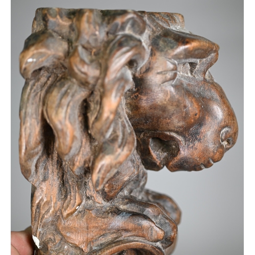 977 - A pair of 19th century Continental carved wood furniture brackets, worked with lions, 33 cm high