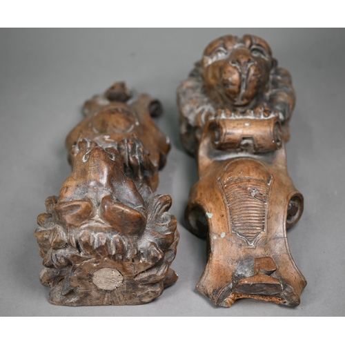 977 - A pair of 19th century Continental carved wood furniture brackets, worked with lions, 33 cm high