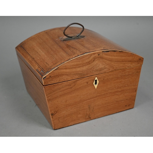 978 - A Regency rosewood and chevron-banded work-box with domed cover, 23 cm wide, to/w a patinated terrac... 