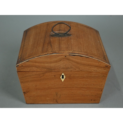 978 - A Regency rosewood and chevron-banded work-box with domed cover, 23 cm wide, to/w a patinated terrac... 