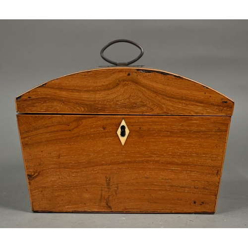 978 - A Regency rosewood and chevron-banded work-box with domed cover, 23 cm wide, to/w a patinated terrac... 