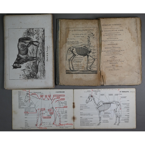 992 - Ryding, William - 'Veterinary Pathology...Diseases of the Horse', 2nd, 1804, 8vo to/w two French vol... 