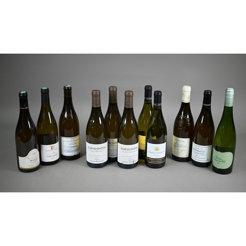 1309 - Eleven bottles of white wine; three bottles of Clos-Du-Chateau De Puligny Montrachet, White burgundy... 