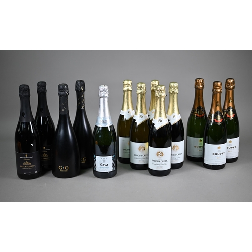 1320 - Thirteen bottles of sparkling red and white wine - Five bottles of Jacob's Creek, Chardonnay, Pinot ... 