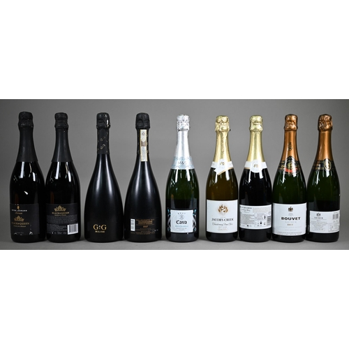 1320 - Thirteen bottles of sparkling red and white wine - Five bottles of Jacob's Creek, Chardonnay, Pinot ... 