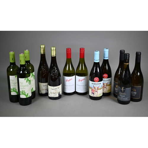 1327 - Twelve bottles of white wine: Three bottles of Mas d'Agamas Marsanne, France, 2021, two bottles of D... 