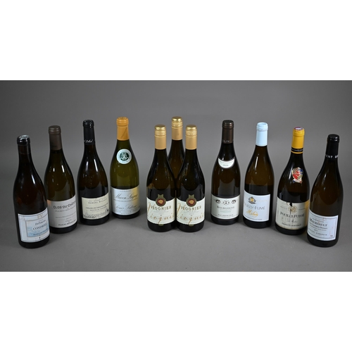 1330 - Eleven bottles of white wine - three bottles of Viognier, Pays D'Oc, France, 2022; Macon-Lugny, Mais... 