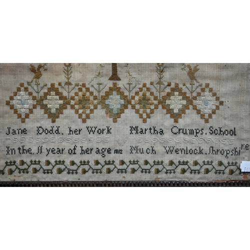 1015B - Jane Dodd of Martha Crumps School, Much Wenlock, Shropshire, aged 11 - a sampler dated 1812 and feat... 