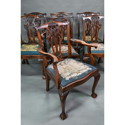 859A - A set of mahogany Chippendale-style dining chairs with ball and claw feet and sabre back legs, with ... 