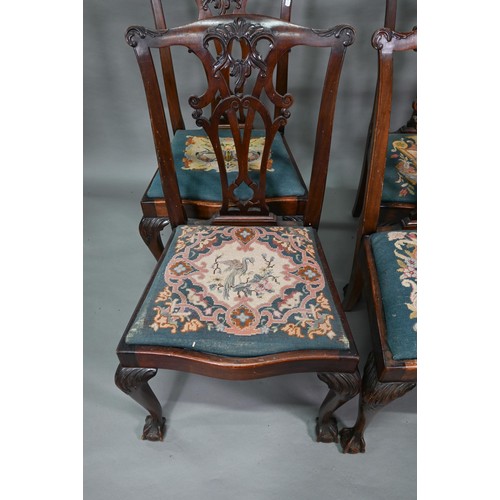 859A - A set of mahogany Chippendale-style dining chairs with ball and claw feet and sabre back legs, with ... 