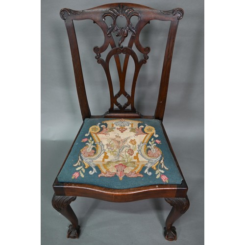 859A - A set of mahogany Chippendale-style dining chairs with ball and claw feet and sabre back legs, with ... 