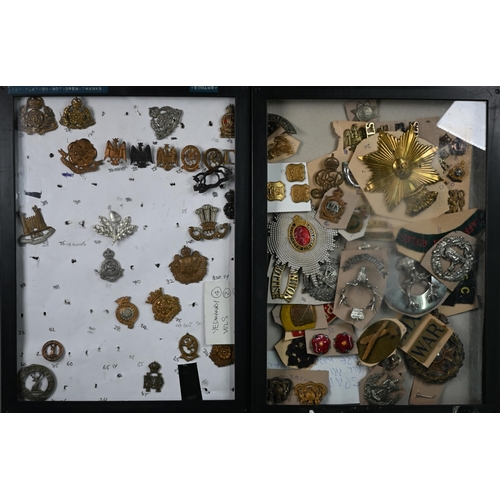 1051 - Five perspex display cases containing a collection of mostly British military cap badges, shoulder t... 