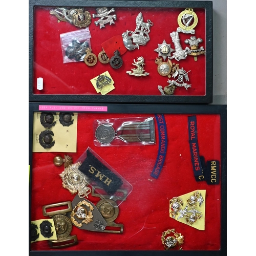 1053 - Eight perspex display cases of British military cap badges, shoulder titles, sweetheart brooches and... 