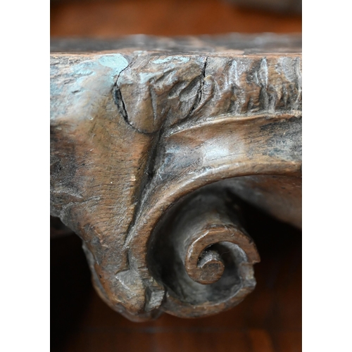 977 - A pair of 19th century Continental carved wood furniture brackets, worked with lions, 33 cm high