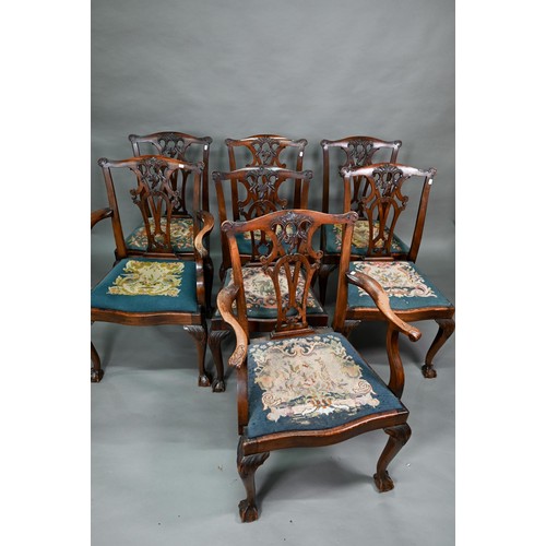 63 - A set of mahogany Chippendale-style dining chairs with ball and claw feet and sabre back legs, with ... 