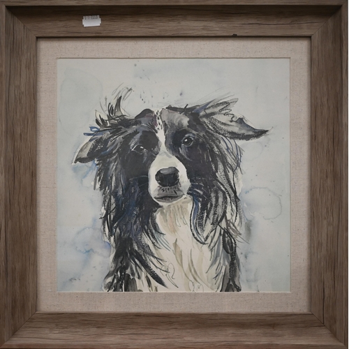 267 - Two watercolours on tissue paper of elephants, 48 x 48 cm to/w study of collie dog, watercolour (3)