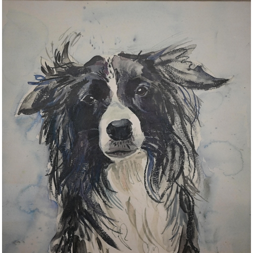 267 - Two watercolours on tissue paper of elephants, 48 x 48 cm to/w study of collie dog, watercolour (3)